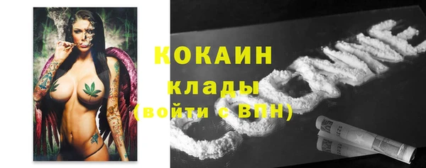 спайс Алексин