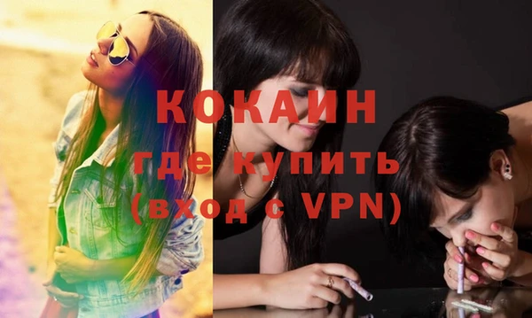 стафф Алзамай