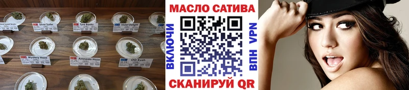 купить закладку  Курчалой  ТГК THC oil 